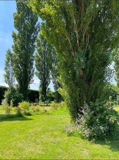 فندق Domaine Des Epinettes Saint-Romain-de-Jalionas المظهر الخارجي الصورة